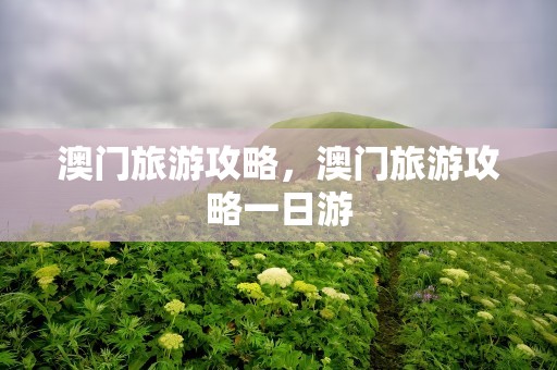 澳门旅游攻略，澳门旅游攻略一日游