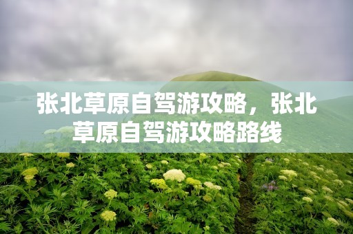 张北草原自驾游攻略，张北草原自驾游攻略路线