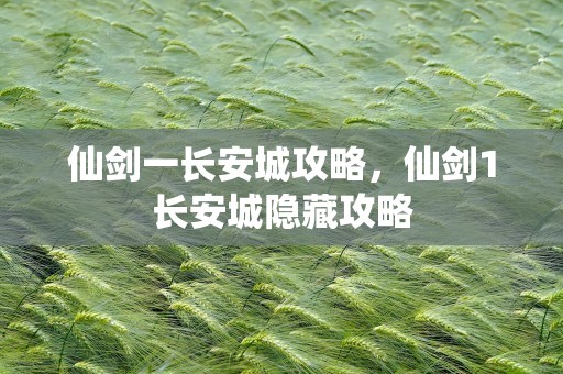 仙剑一长安城攻略，仙剑1长安城隐藏攻略