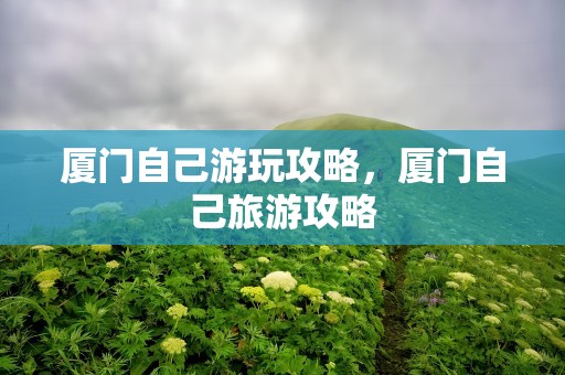 厦门自己游玩攻略，厦门自己旅游攻略