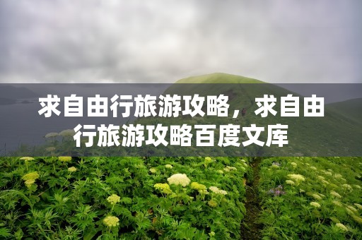 求自由行旅游攻略，求自由行旅游攻略百度文库