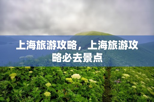 上海旅游攻略，上海旅游攻略必去景点