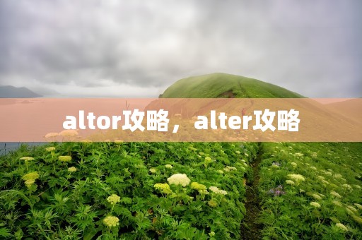 altor攻略，alter攻略