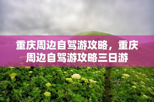 重庆周边自驾游攻略，重庆周边自驾游攻略三日游