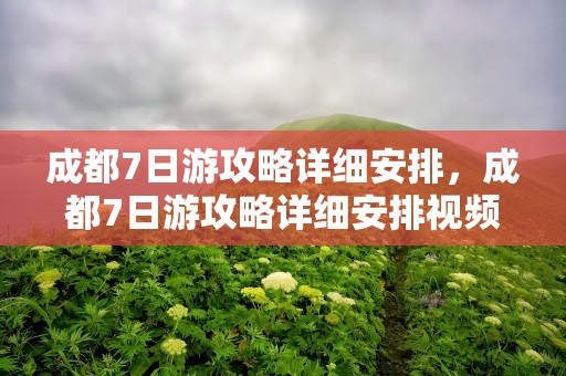 成都7日游攻略详细安排，成都7日游攻略详细安排视频