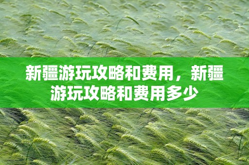 新疆游玩攻略和费用，新疆游玩攻略和费用多少