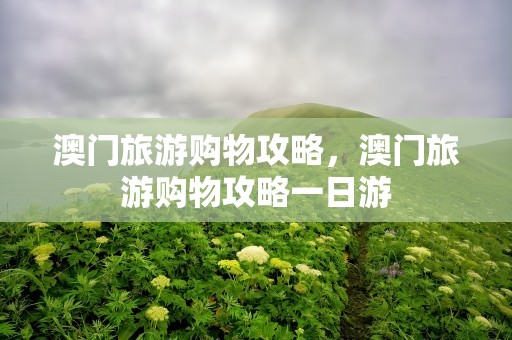 澳门旅游购物攻略，澳门旅游购物攻略一日游