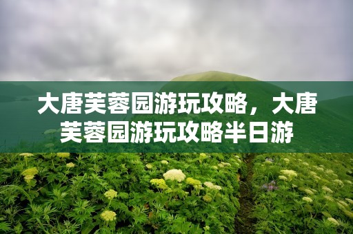 大唐芙蓉园游玩攻略，大唐芙蓉园游玩攻略半日游