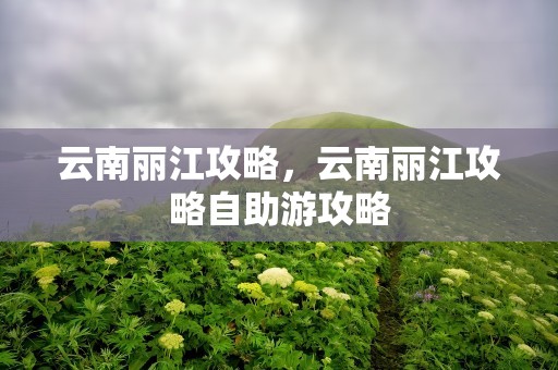 云南丽江攻略，云南丽江攻略自助游攻略