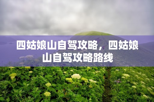 四姑娘山自驾攻略，四姑娘山自驾攻略路线