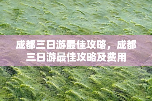 成都三日游最佳攻略，成都三日游最佳攻略及费用