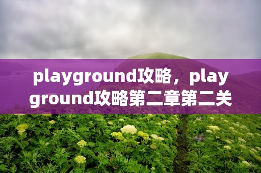 playground攻略，playground攻略第二章第二关