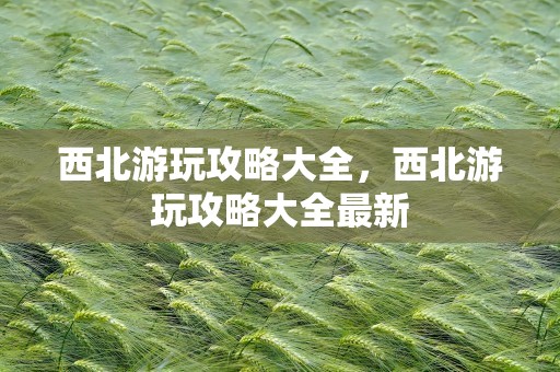 西北游玩攻略大全，西北游玩攻略大全最新