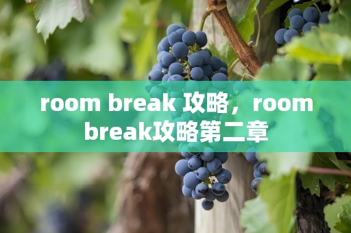 room break 攻略，roombreak攻略第二章