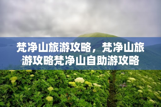 梵净山旅游攻略，梵净山旅游攻略梵净山自助游攻略