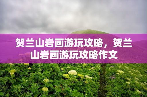 贺兰山岩画游玩攻略，贺兰山岩画游玩攻略作文