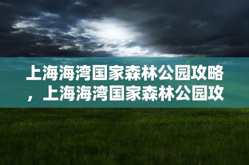 上海海湾国家森林公园攻略，上海海湾国家森林公园攻略一日游