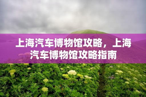 上海汽车博物馆攻略，上海汽车博物馆攻略指南