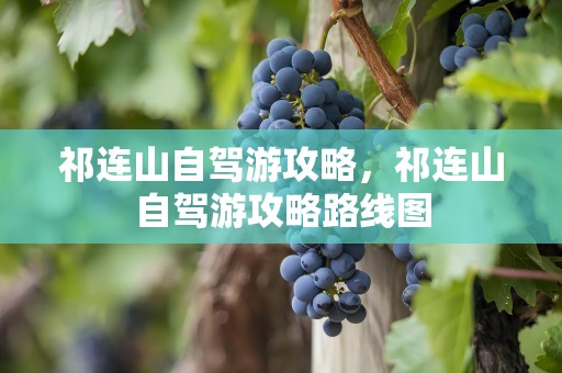 祁连山自驾游攻略，祁连山自驾游攻略路线图