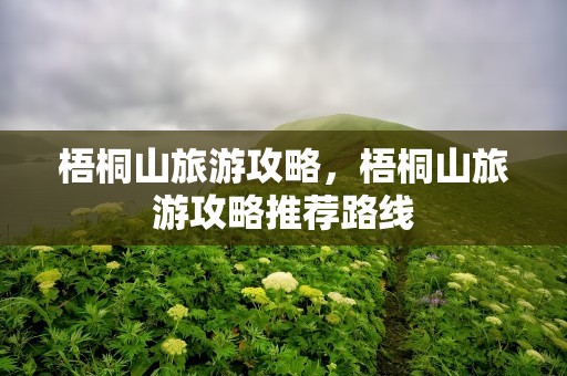 梧桐山旅游攻略，梧桐山旅游攻略推荐路线