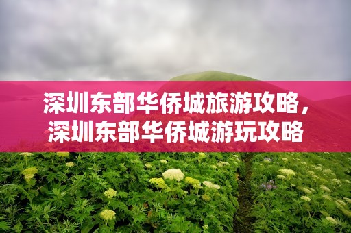 深圳东部华侨城旅游攻略，深圳东部华侨城游玩攻略