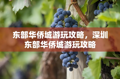 东部华侨城游玩攻略，深圳东部华侨城游玩攻略