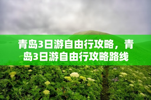 青岛3日游自由行攻略，青岛3日游自由行攻略路线