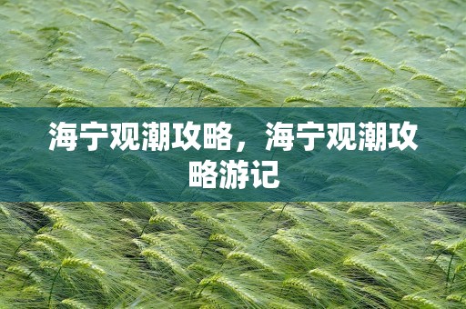 海宁观潮攻略，海宁观潮攻略游记