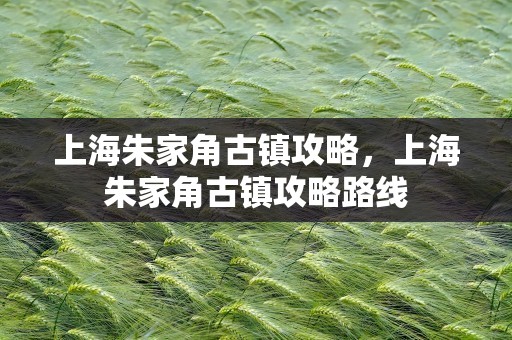 上海朱家角古镇攻略，上海朱家角古镇攻略路线