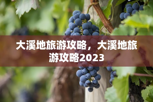 大溪地旅游攻略，大溪地旅游攻略2023