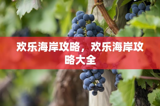 欢乐海岸攻略，欢乐海岸攻略大全