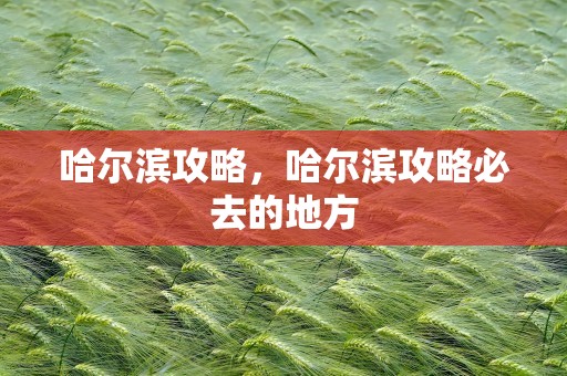 哈尔滨攻略，哈尔滨攻略必去的地方