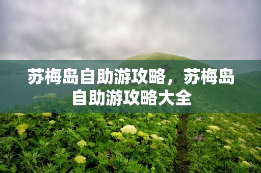 苏梅岛自助游攻略，苏梅岛自助游攻略大全