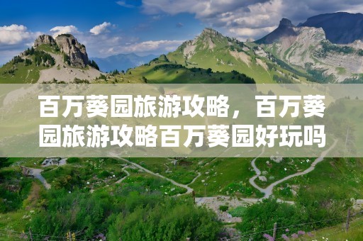 百万葵园旅游攻略，百万葵园旅游攻略百万葵园好玩吗