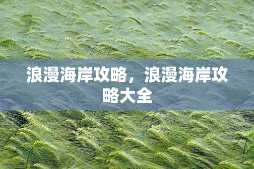 浪漫海岸攻略，浪漫海岸攻略大全