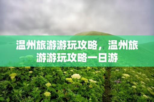 温州旅游游玩攻略，温州旅游游玩攻略一日游