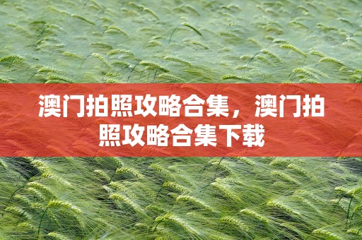 澳门拍照攻略合集，澳门拍照攻略合集下载