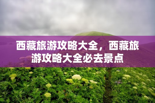 西藏旅游攻略大全，西藏旅游攻略大全必去景点