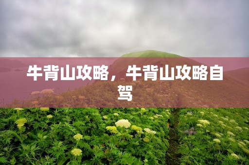 牛背山攻略，牛背山攻略自驾