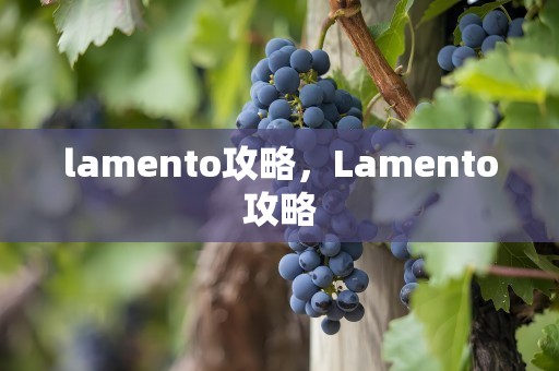 lamento攻略，Lamento攻略