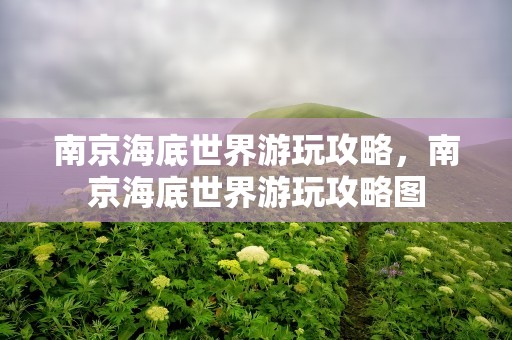 南京海底世界游玩攻略，南京海底世界游玩攻略图