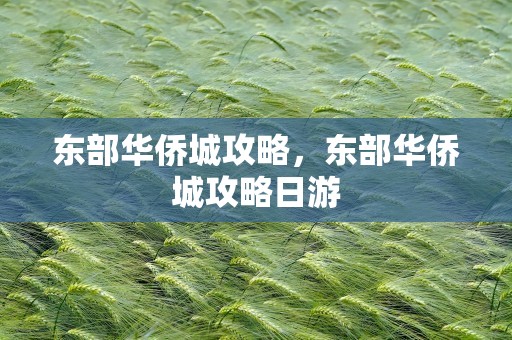 东部华侨城攻略，东部华侨城攻略日游