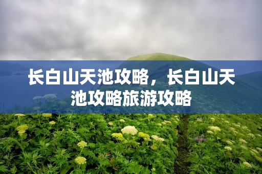 长白山天池攻略，长白山天池攻略旅游攻略