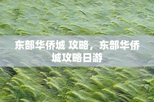 东部华侨城 攻略，东部华侨城攻略日游