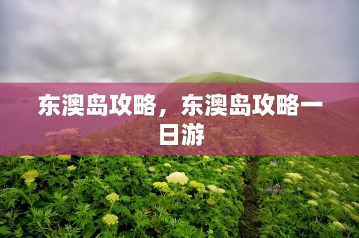 东澳岛攻略，东澳岛攻略一日游