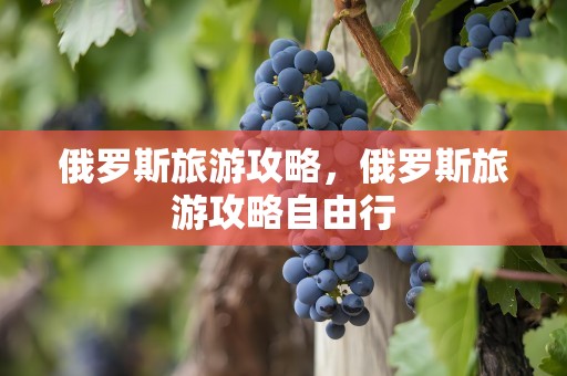 俄罗斯旅游攻略，俄罗斯旅游攻略自由行