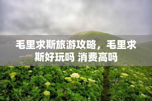 毛里求斯旅游攻略，毛里求斯好玩吗 消费高吗