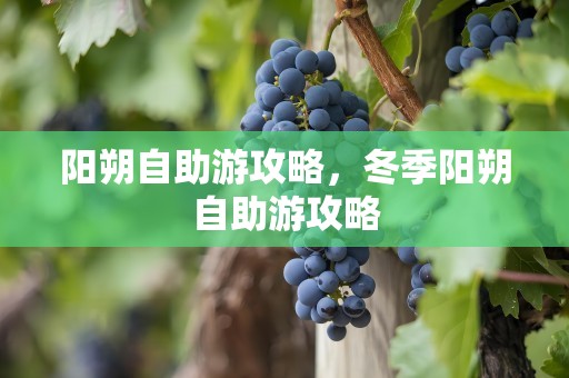 阳朔自助游攻略，冬季阳朔自助游攻略