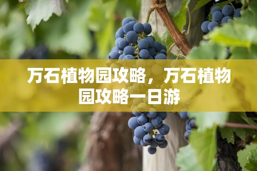 万石植物园攻略，万石植物园攻略一日游