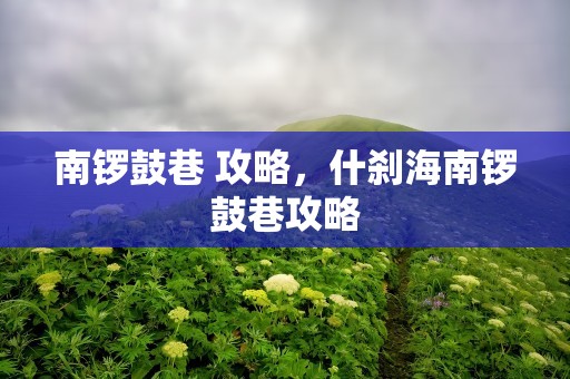 南锣鼓巷 攻略，什刹海南锣鼓巷攻略